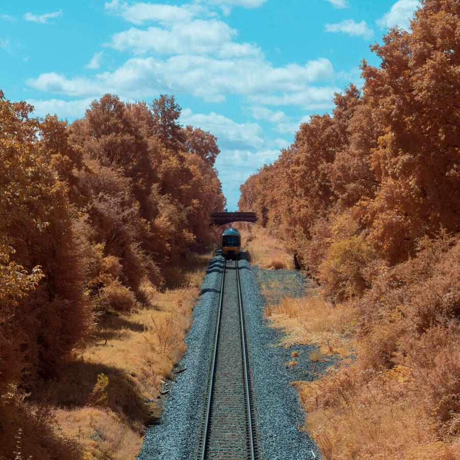 Maidenhead, Sony A5000 IR & Sony 18-55mm