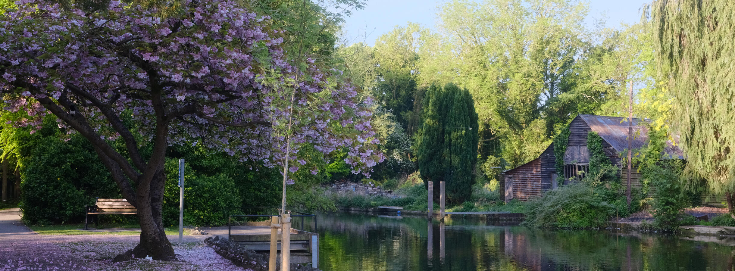 Maidenhead, Fujifilm GFX50S &amp; Fujinon GF63mm WR